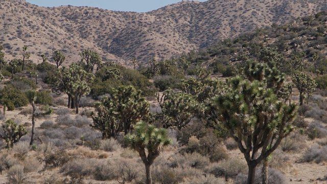 تغییر اقلیم در پارک ملی کالیفرنیا