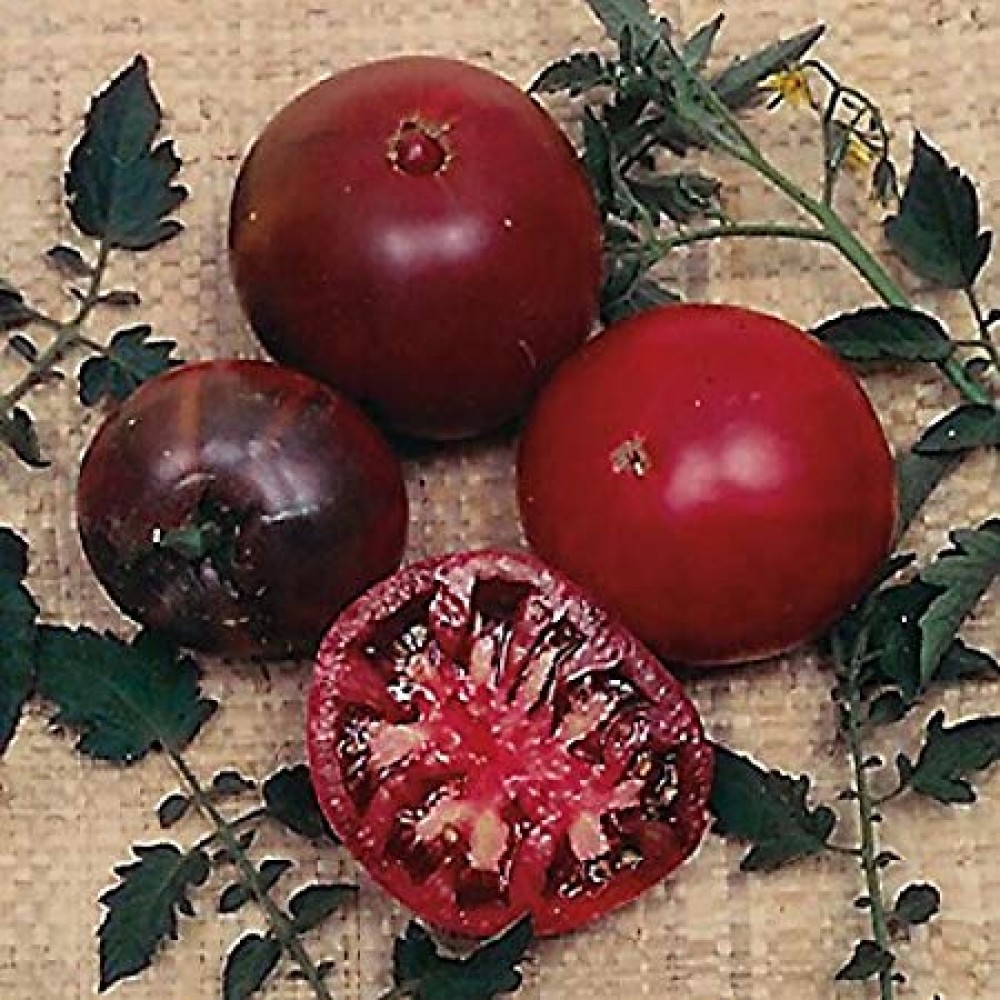 بذر گوجه سیاه کریم