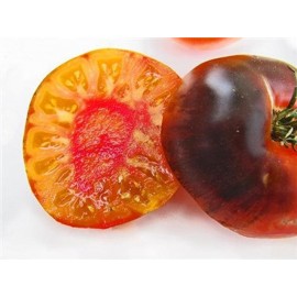 بذر گوجه بلو بیوتی