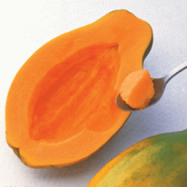 نهال پاپایا طلوع آفتاب Golden Sunrise Papayas