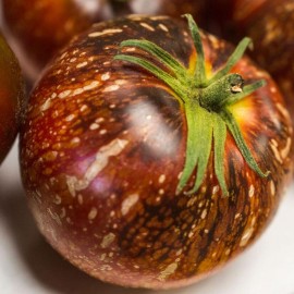 بذر گوجه دارک گلکسی