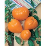 بذر گوجه قلبی نارنجی یا توت فرنگی نارنجی