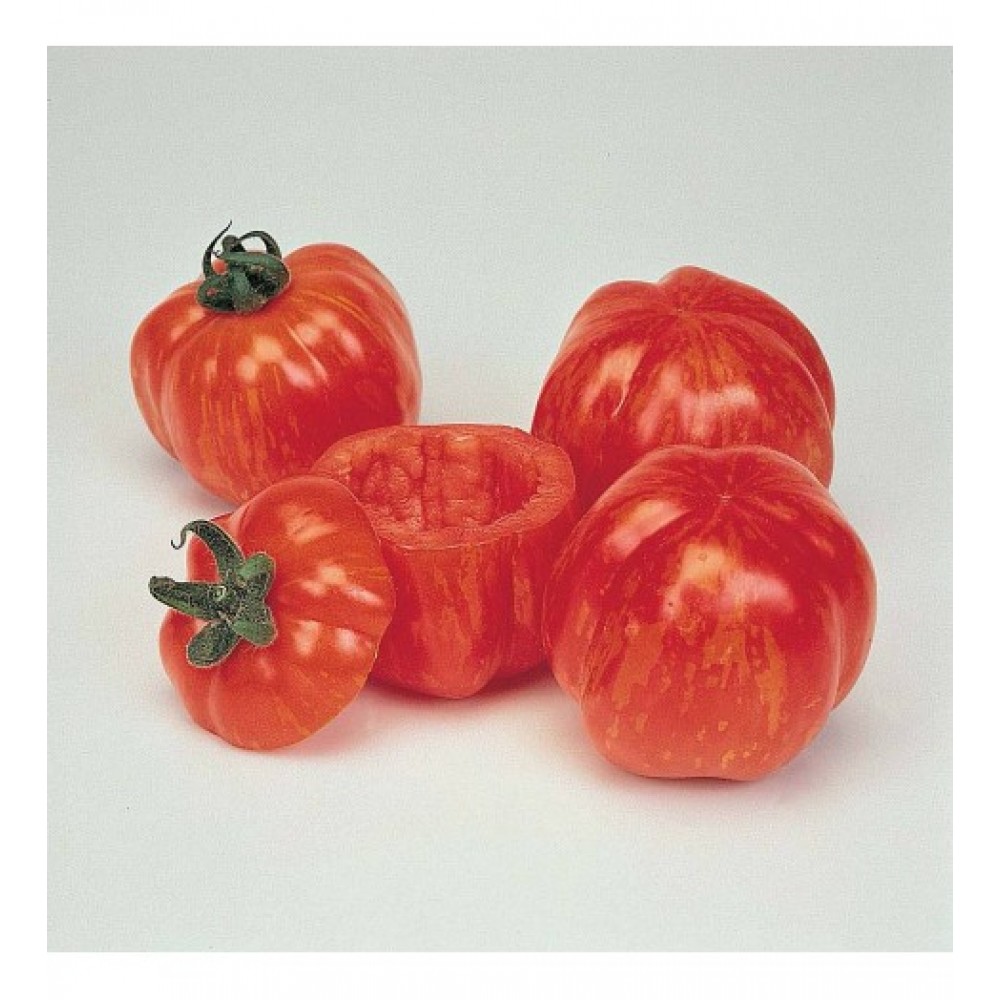 بذر گوجه دلمه ای (Tomato Striped Stuffer)