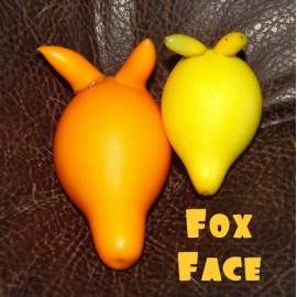 بذر میوه سر روباهی (Fox face)