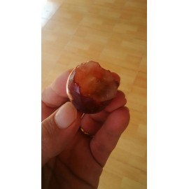 نهال انگور غول آسا کالیفرنیا